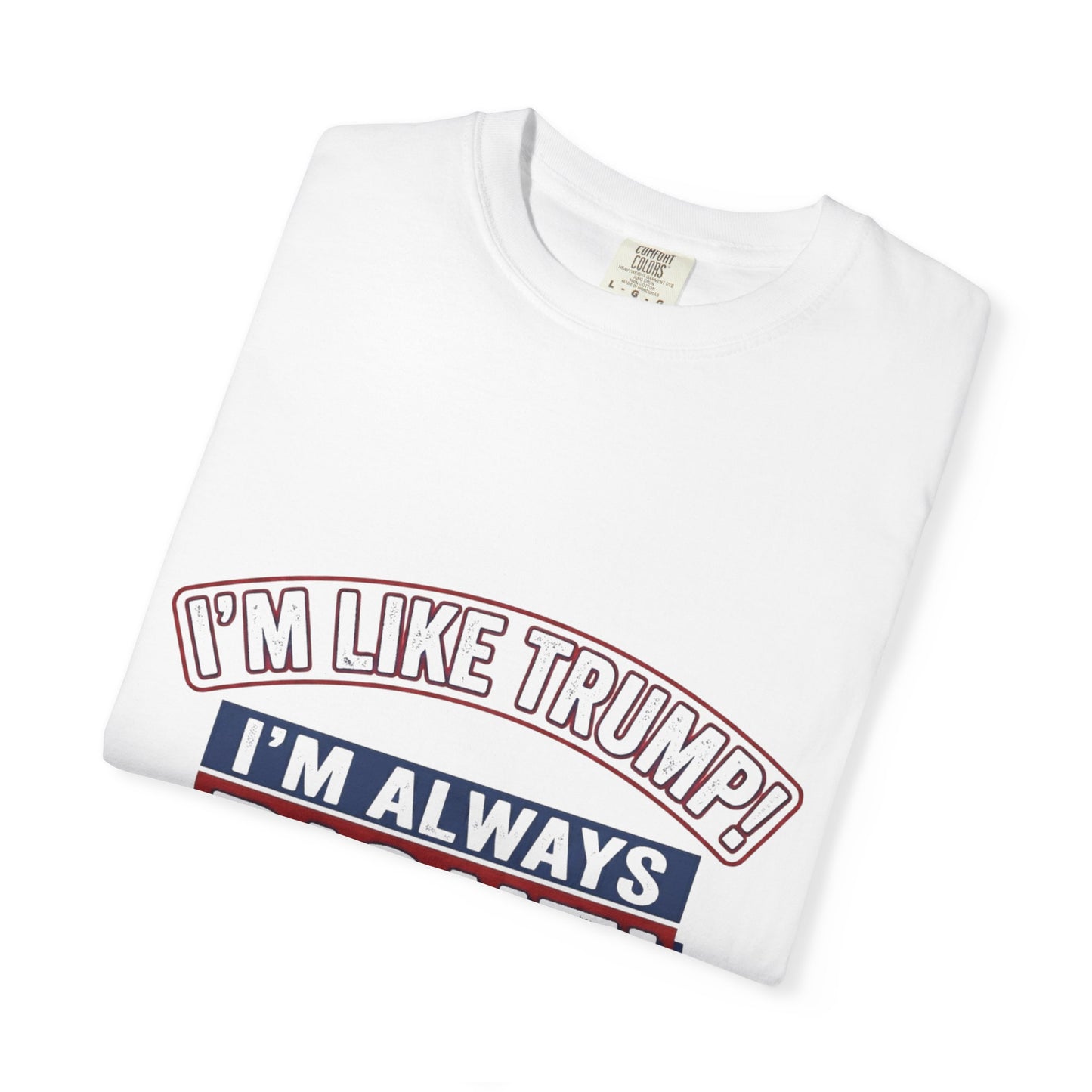 I'm Like Trump! I'm Always Right! T-Shirt